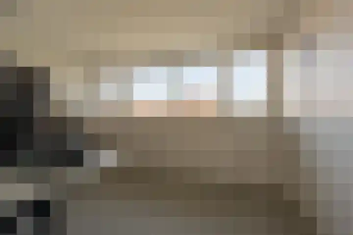 Goudzoeker 21 Rhoon thumbnail 49