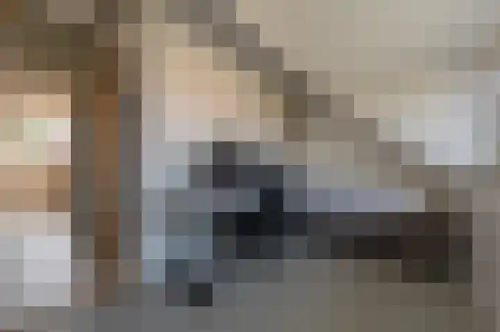Goudzoeker 21 Rhoon thumbnail 50