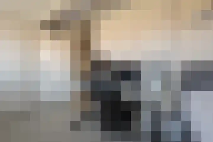 Goudzoeker 21 Rhoon thumbnail 52