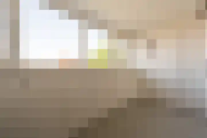 Goudzoeker 21 Rhoon thumbnail 53