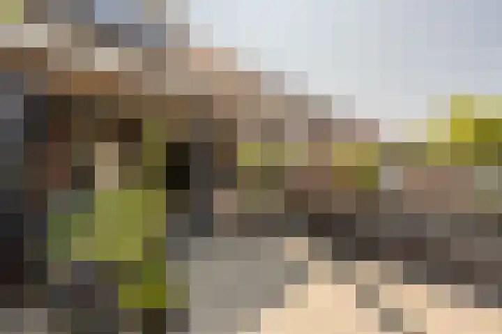 Goudzoeker 21 Rhoon thumbnail 54