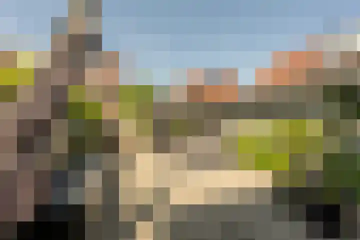 Goudzoeker 21 Rhoon thumbnail 55