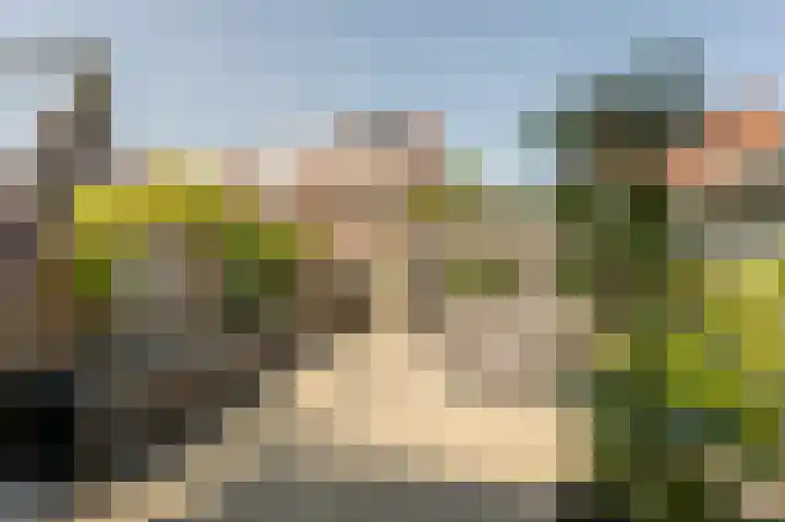 Goudzoeker 21 Rhoon thumbnail 56