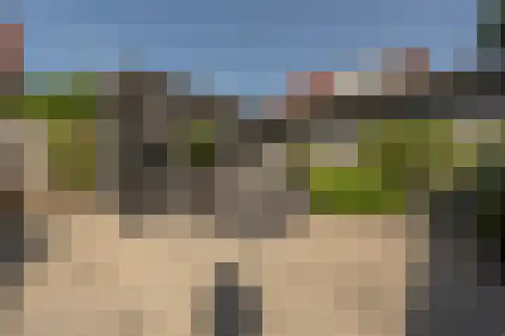 Goudzoeker 21 Rhoon thumbnail 57