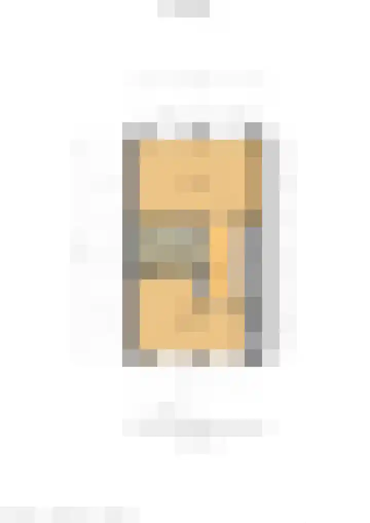 Goudzoeker 21 Rhoon thumbnail 59