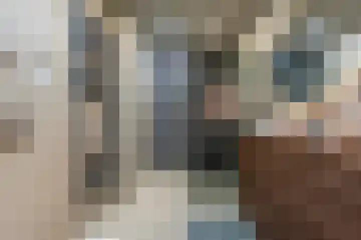 Goudzoeker 21 Rhoon thumbnail 6