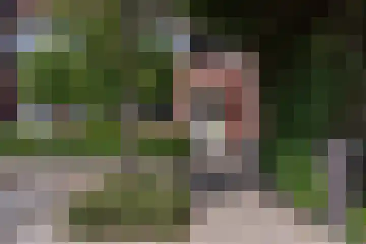 Goudzoeker 21 Rhoon thumbnail 8
