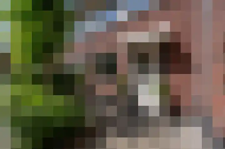 Goudzoeker 21 Rhoon thumbnail 9