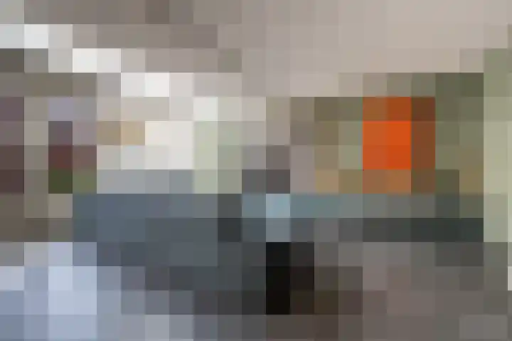 Goudzoeker 22 Rhoon thumbnail 13
