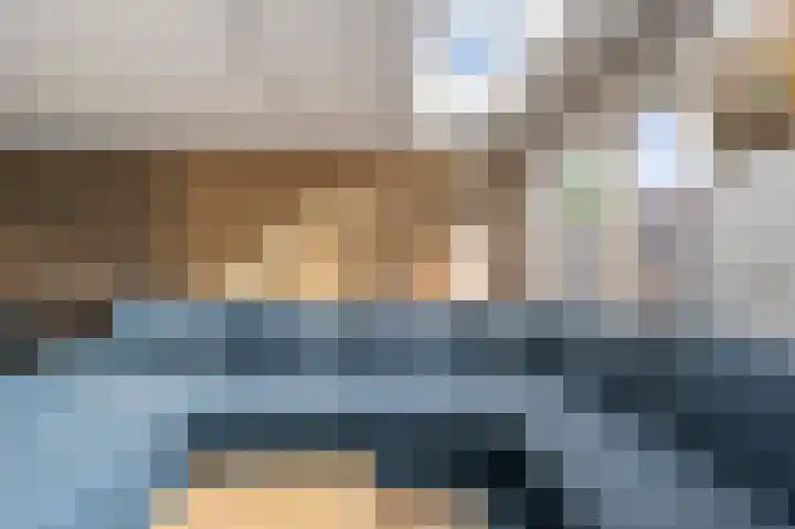 Goudzoeker 22 Rhoon thumbnail 14