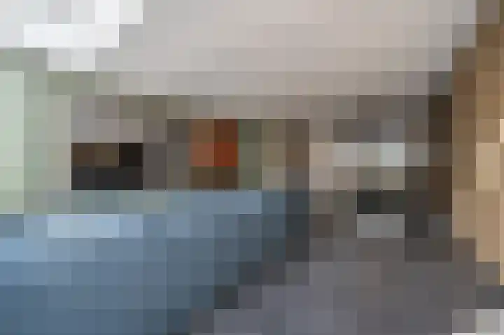 Goudzoeker 22 Rhoon thumbnail 16
