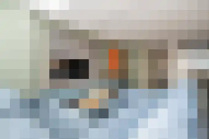 Goudzoeker 22 Rhoon thumbnail 17