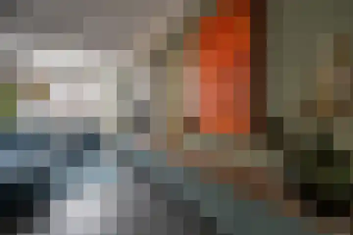 Goudzoeker 22 Rhoon thumbnail 18