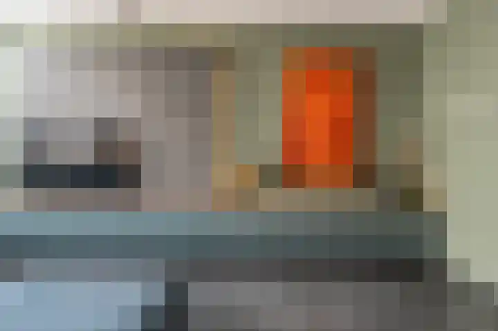 Goudzoeker 22 Rhoon thumbnail 19