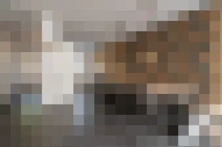 Goudzoeker 22 Rhoon thumbnail 20