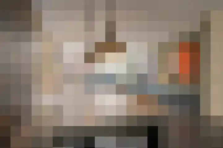 Goudzoeker 22 Rhoon thumbnail 22
