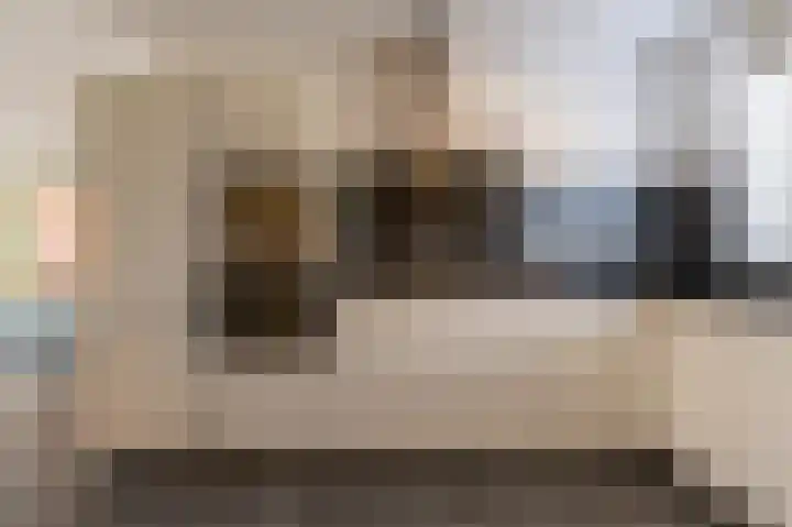 Goudzoeker 22 Rhoon thumbnail 24