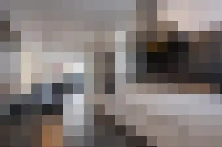 Goudzoeker 22 Rhoon thumbnail 25