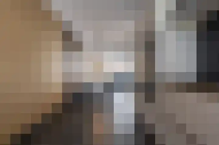 Goudzoeker 22 Rhoon thumbnail 26