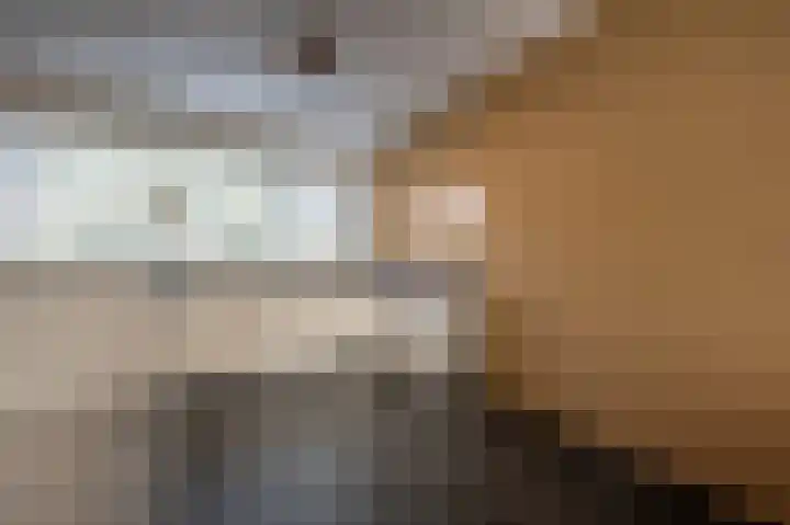Goudzoeker 22 Rhoon thumbnail 27
