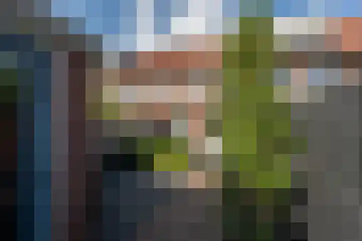 Goudzoeker 22 Rhoon thumbnail 28