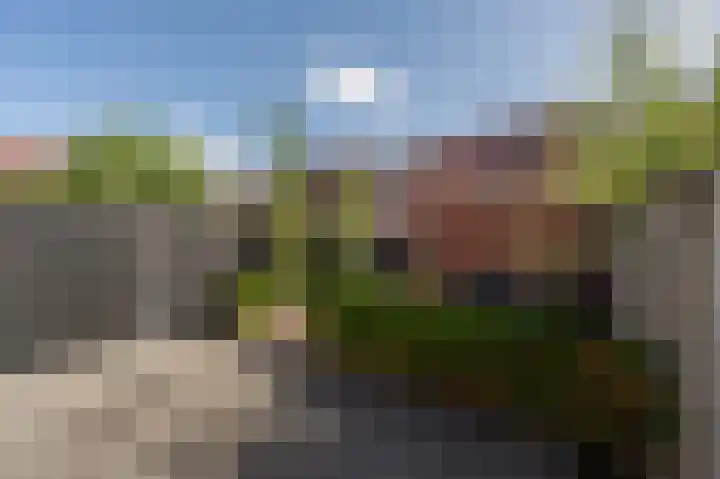 Goudzoeker 22 Rhoon thumbnail 30