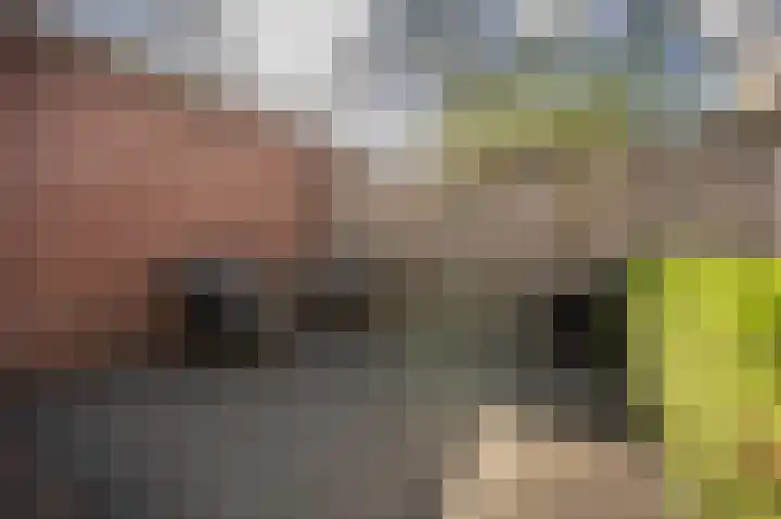 Goudzoeker 22 Rhoon thumbnail 31