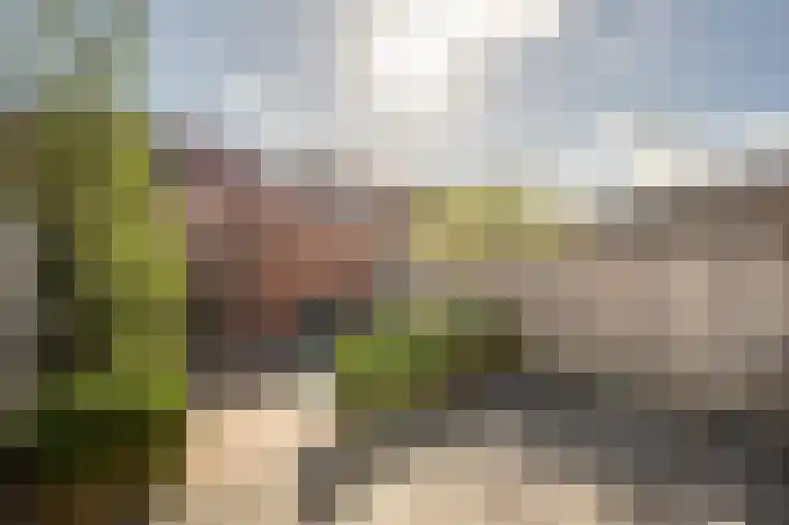 Goudzoeker 22 Rhoon thumbnail 32