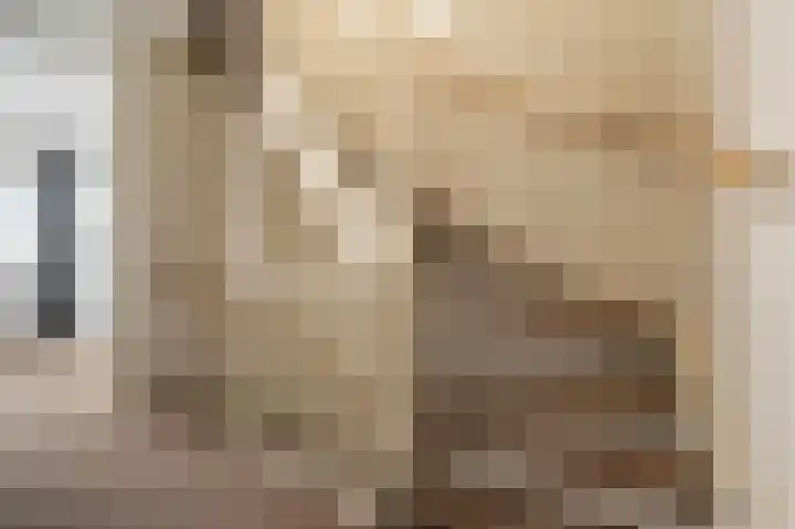 Goudzoeker 22 Rhoon thumbnail 33