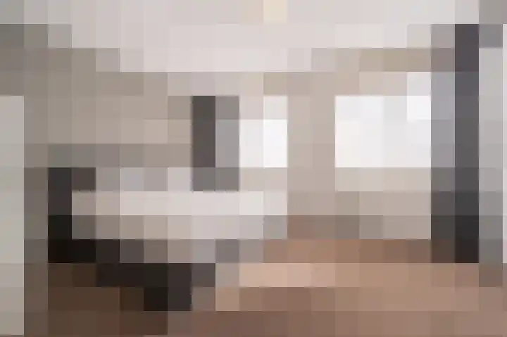 Goudzoeker 22 Rhoon thumbnail 34