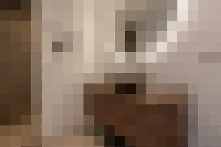 Goudzoeker 22 Rhoon thumbnail 37