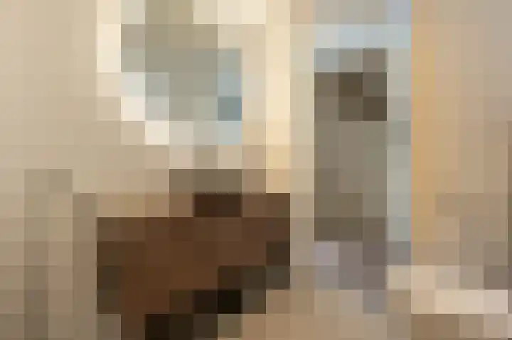 Goudzoeker 22 Rhoon thumbnail 38