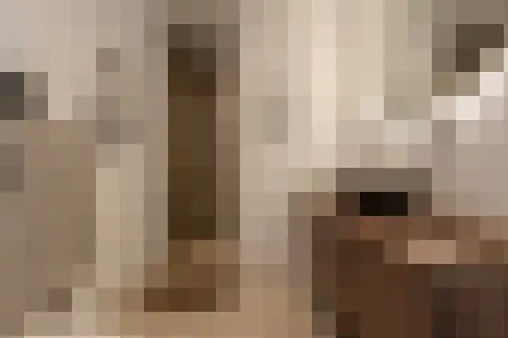 Goudzoeker 22 Rhoon thumbnail 4