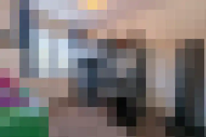 Goudzoeker 22 Rhoon thumbnail 42