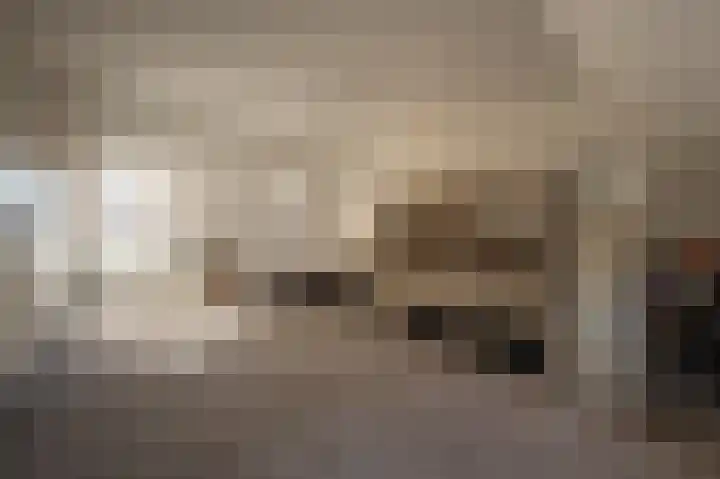 Goudzoeker 22 Rhoon thumbnail 46