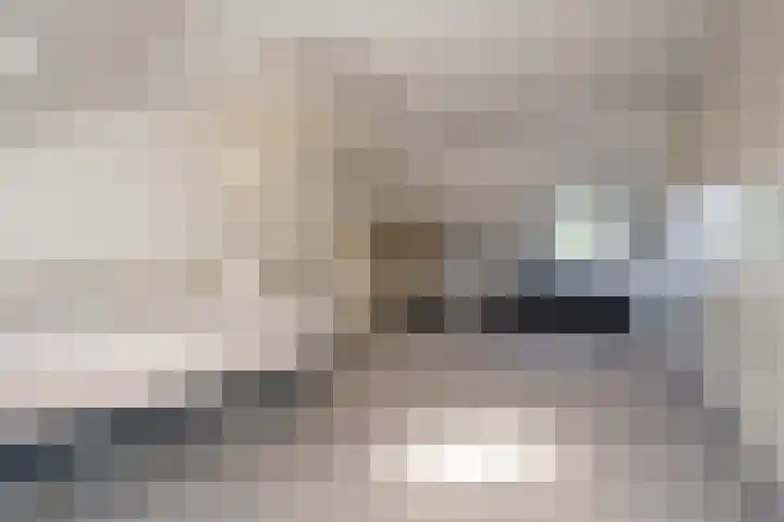 Goudzoeker 22 Rhoon thumbnail 47