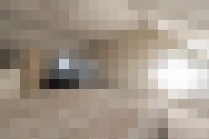 Goudzoeker 22 Rhoon thumbnail 48