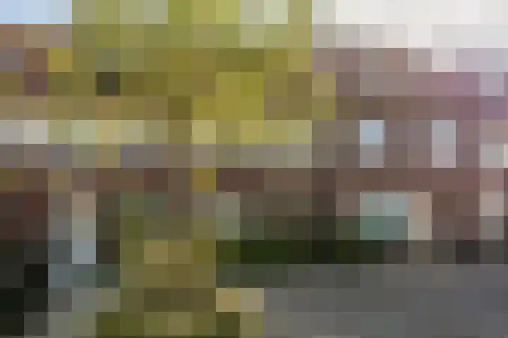 Goudzoeker 22 Rhoon thumbnail 50