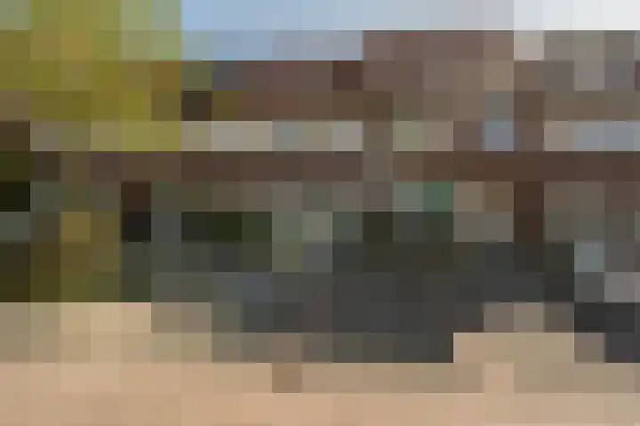 Goudzoeker 22 Rhoon thumbnail 52