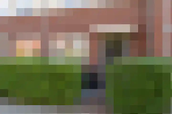 Goudzoeker 22 Rhoon thumbnail 7