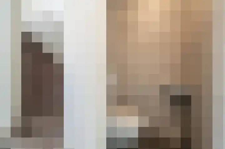 Goudzoeker 22 Rhoon thumbnail 8