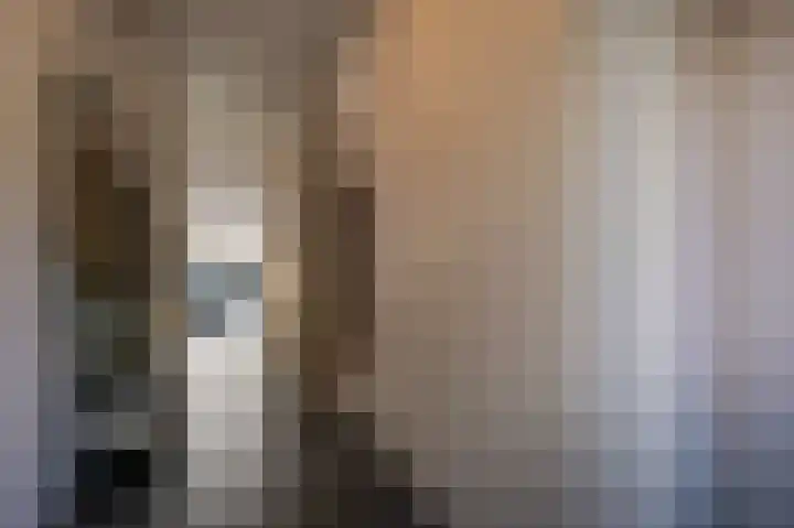 Goudzoeker 22 Rhoon thumbnail 9
