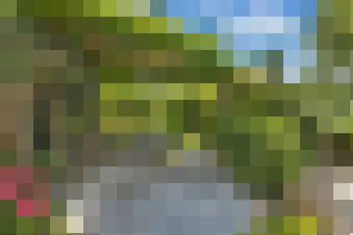 Gouman-akker 1 Barendrecht thumbnail 27
