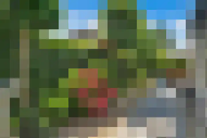 Gouman-akker 1 Barendrecht thumbnail 33