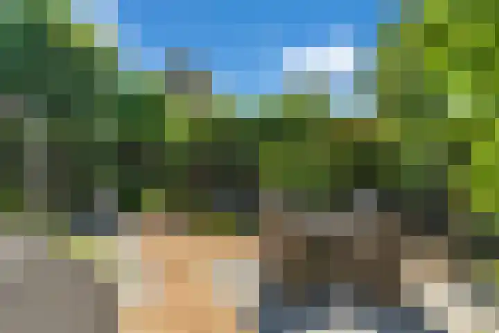 Gouman-akker 1 Barendrecht thumbnail 35