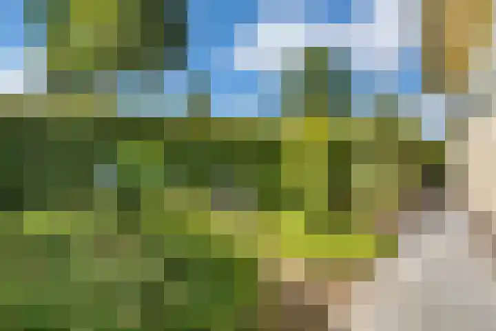 Gouman-akker 1 Barendrecht thumbnail 36