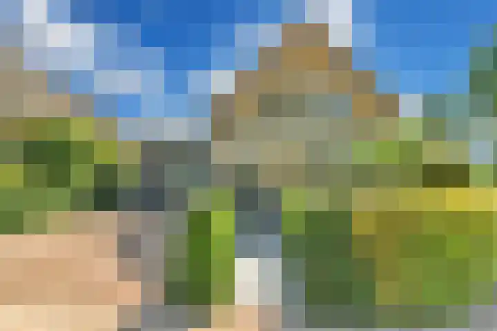 Gouman-akker 1 Barendrecht thumbnail 39