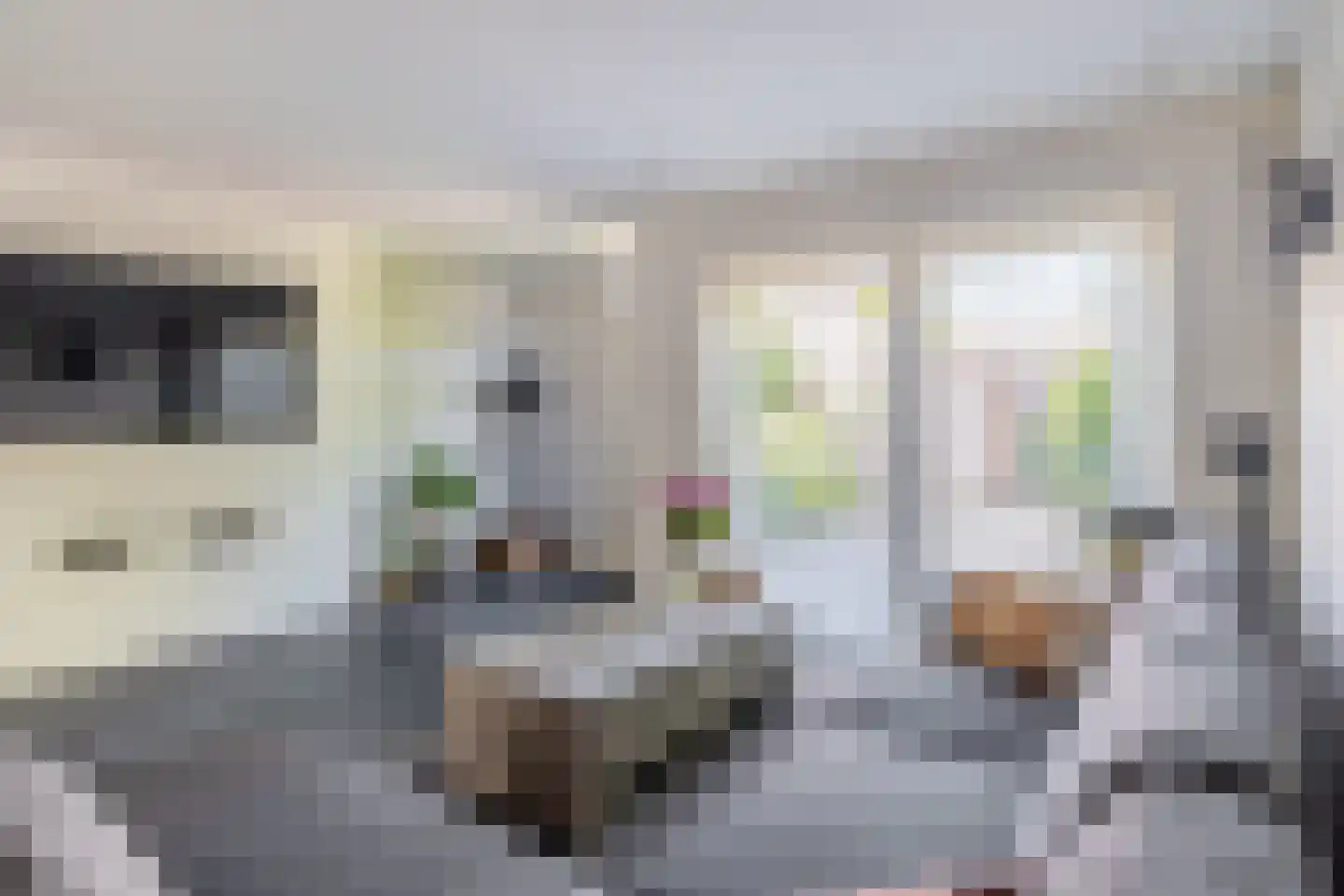 Gounodhof 18 Schijndel thumbnail 6