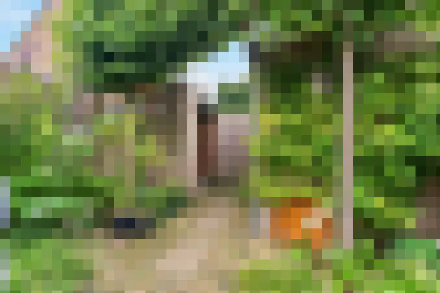 Gounodhof 19 Schijndel thumbnail 32