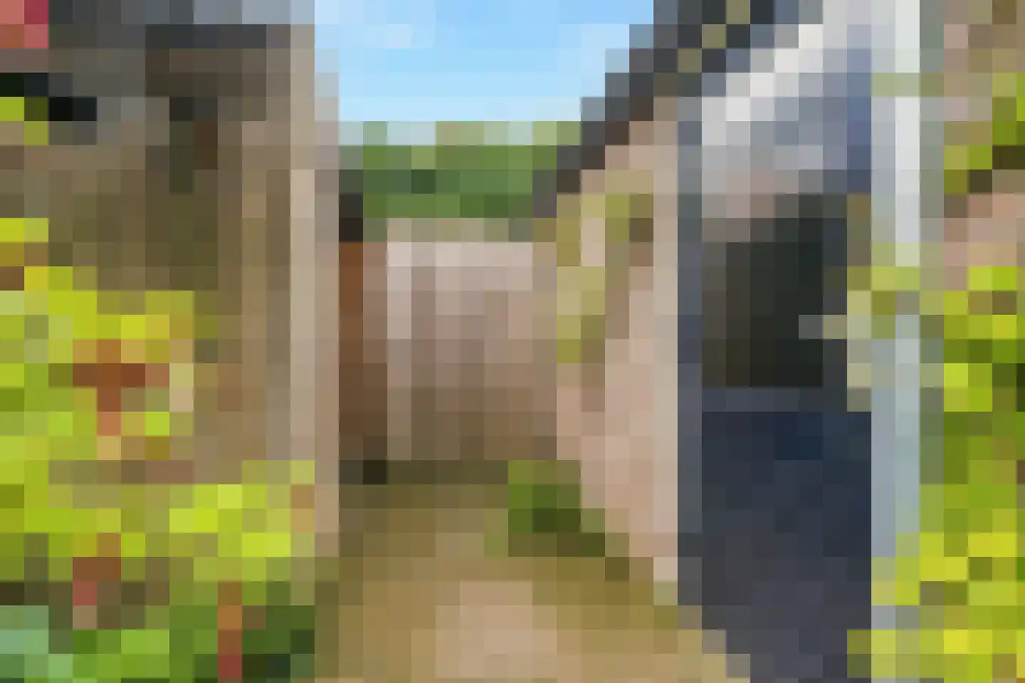 Gounodhof 19 Schijndel thumbnail 33
